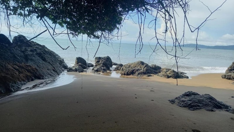 Image: Vista Alta Ecolodge Bahia Drake