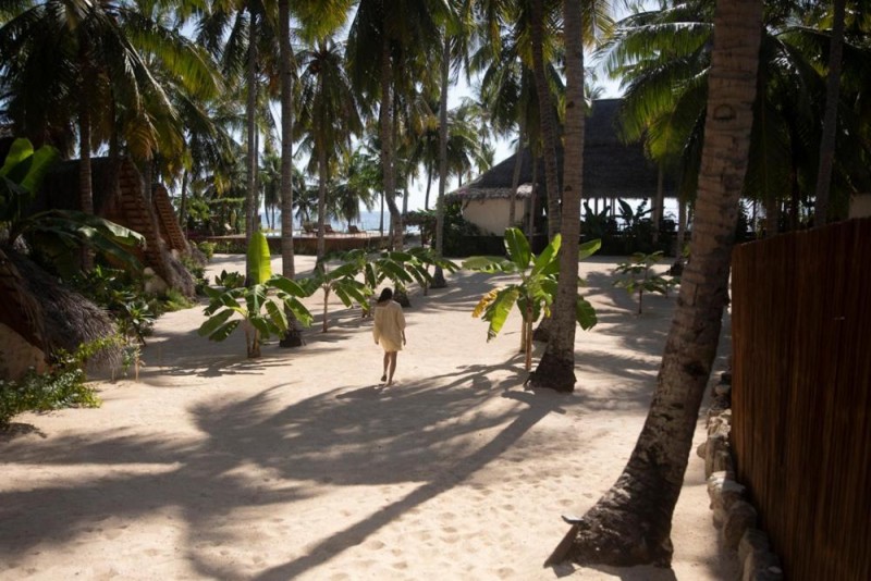 Image: 81 Palms Resort