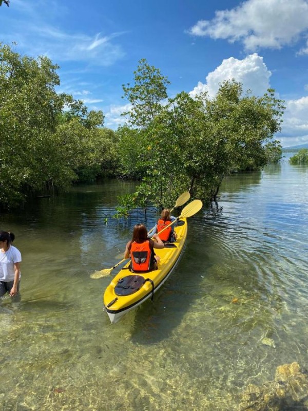 Image: WJV BEACH RESORT MOALBOAL