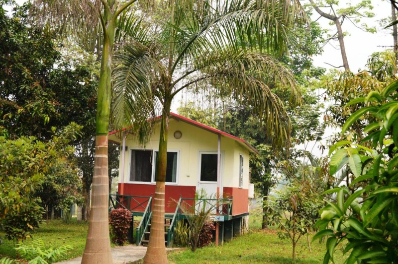Image: Chitwan Paradise Hotel