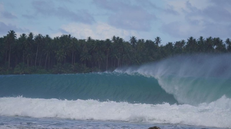 Image: Lilys Nias Surf Camp