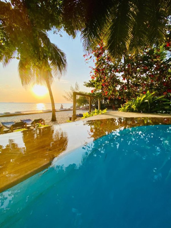 Image: Mangrove Lodge