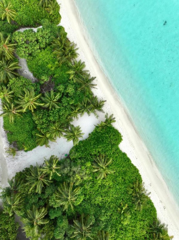 Image: Balma Beach Inn