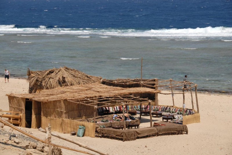 Image: The Oasis