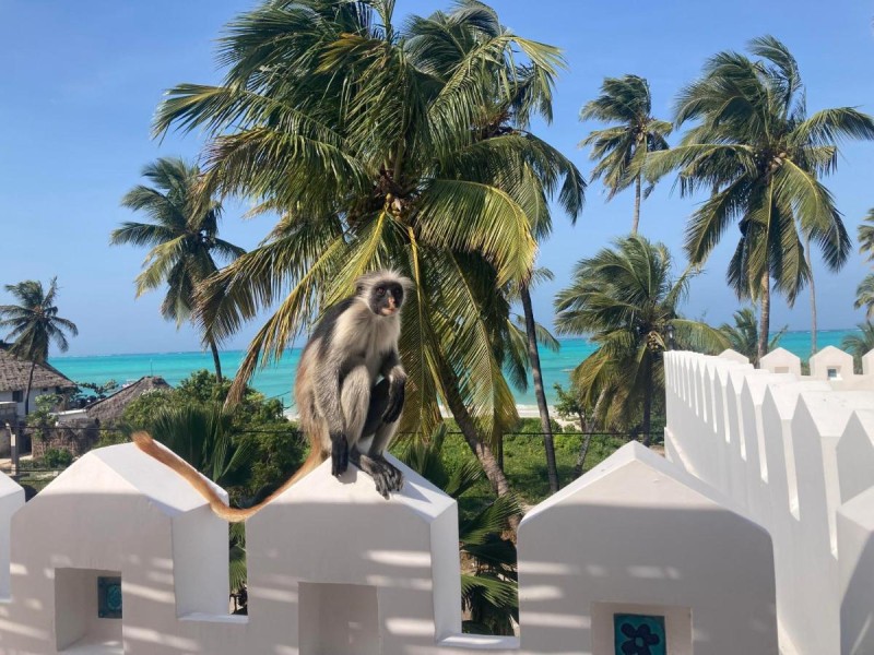 Image: Kholle Villa