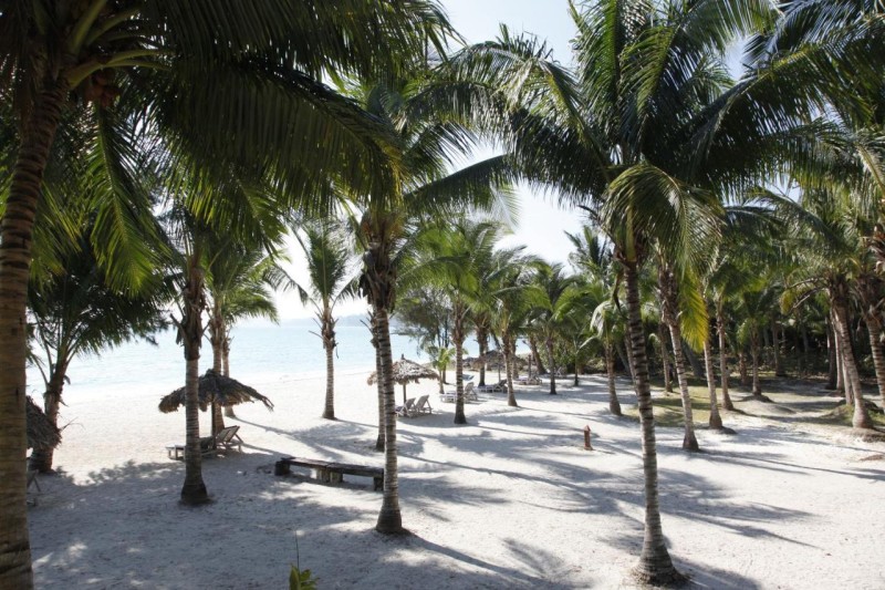 Image: Silver Sand Beach Resort Havelock