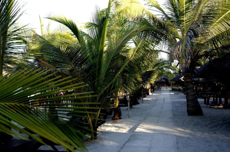 Image: Sunrise Beach Resort
