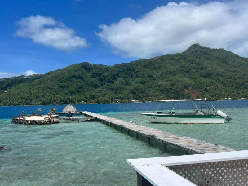 Image: Pension Hibiscus Taha'a