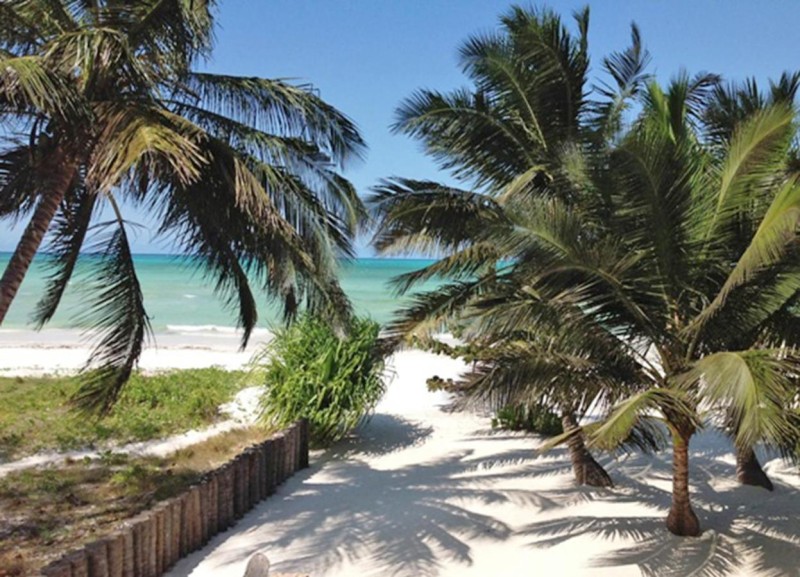 Image: Pongwe Bay Resort