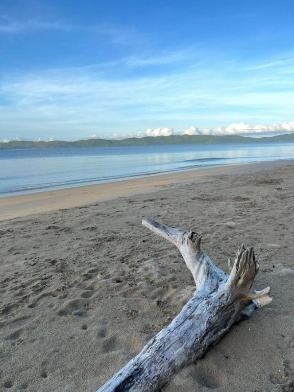 Image: Magalong Beach Resort