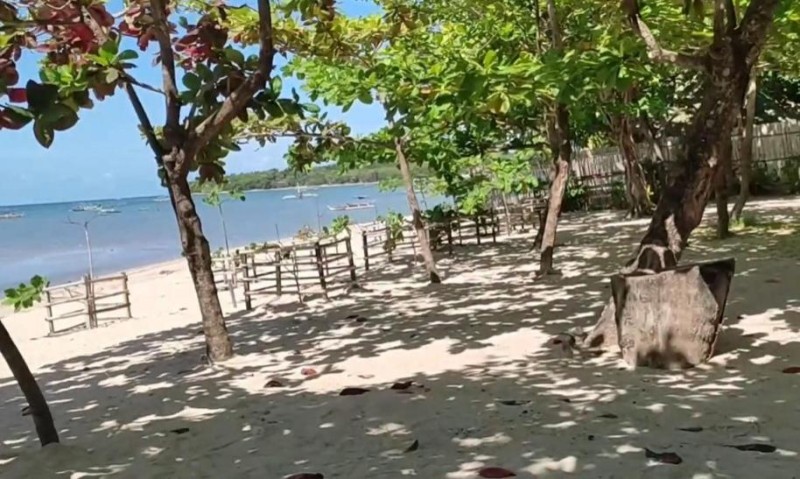 Image: Palm Garden Resort
