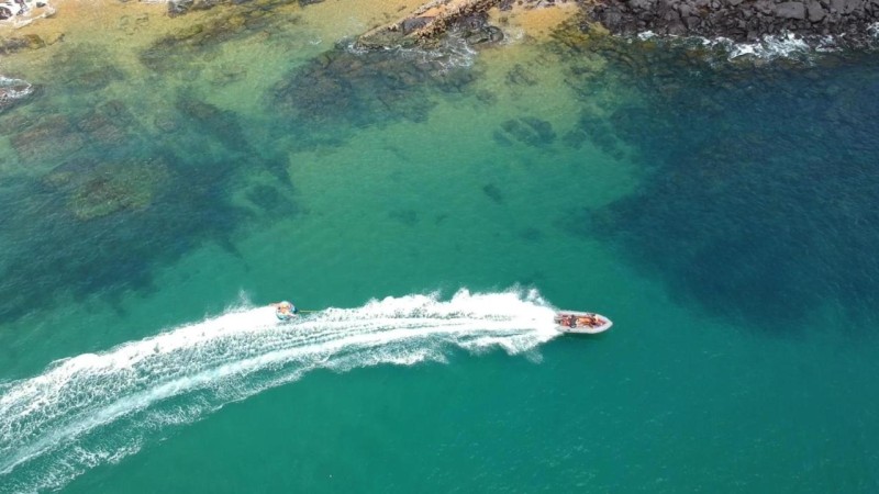 Image: Daltons Banana Guesthouse