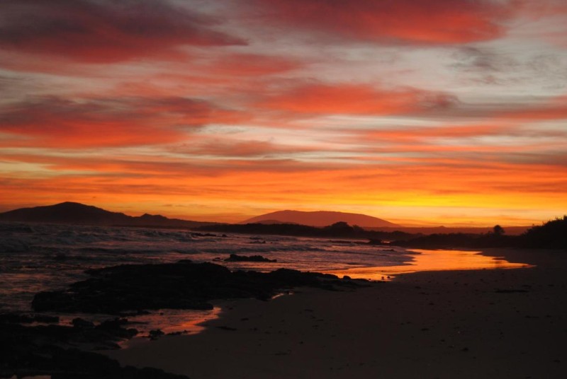 Image: Hostal Galapagos by Bar de Beto