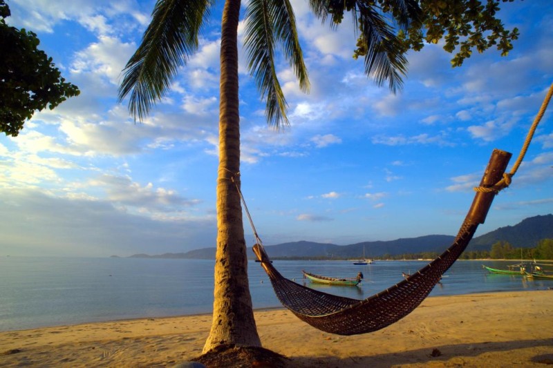 Image: At Samui Haus