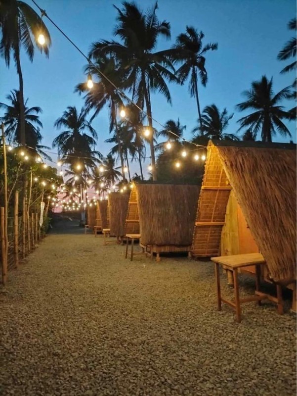 Image: Patar Palms