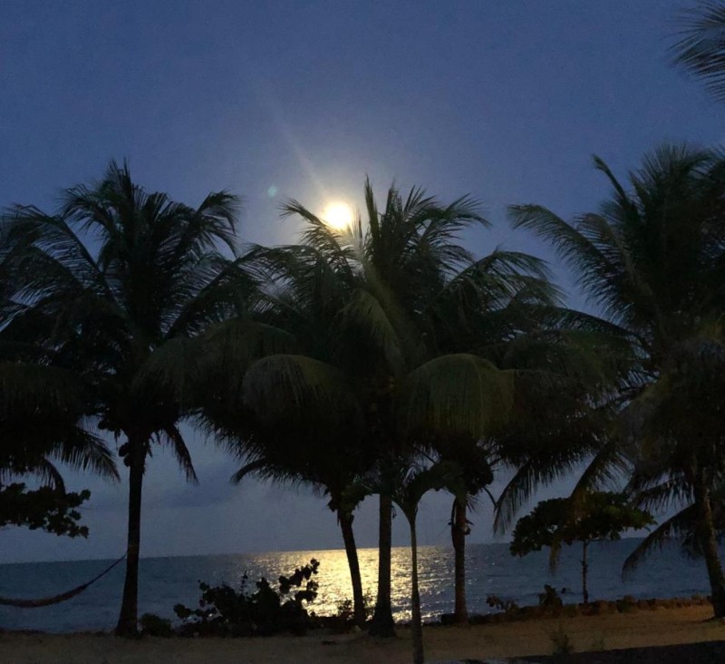Image: Lost Reef Resort