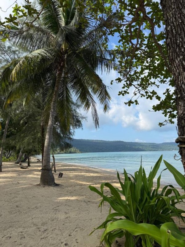 Image: Lily's Beach Bungalows