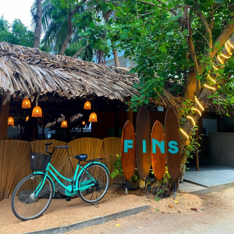 Image: Fins Arugambay