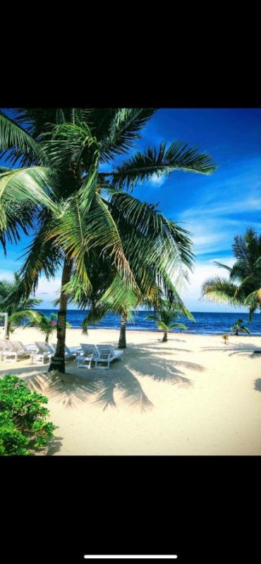 Image: Caribbean Beach Cabanas