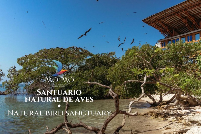 Image: Pao Pao Cartagena