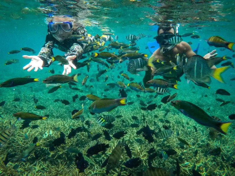 Image: Alunan Resort
