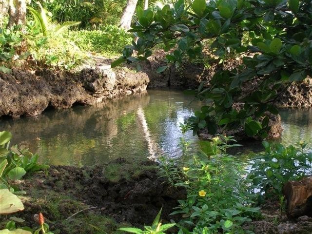 Image: Piscina Natural on the Sea