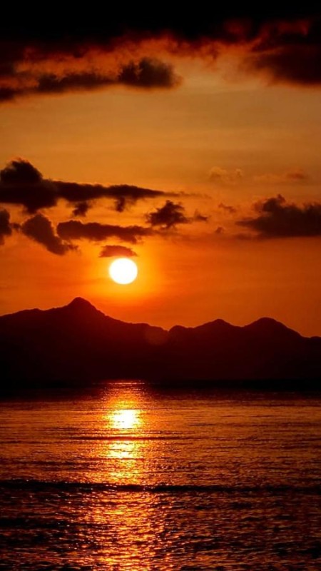 Image: Coconut Cottages El Nido