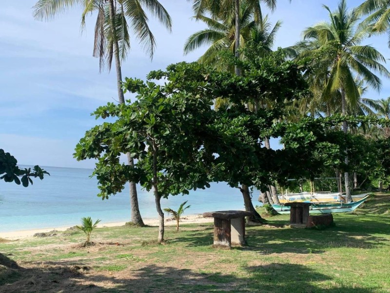 Image: palanas white sand beach resort