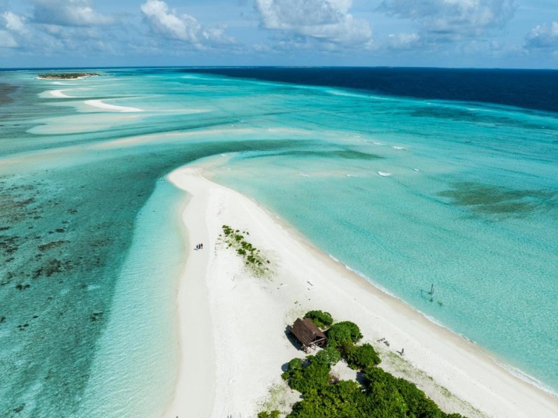 Image: Whale Shark Boutique