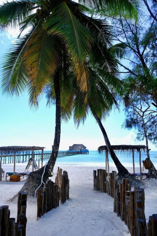 Image: Shirley Boutique Hotel