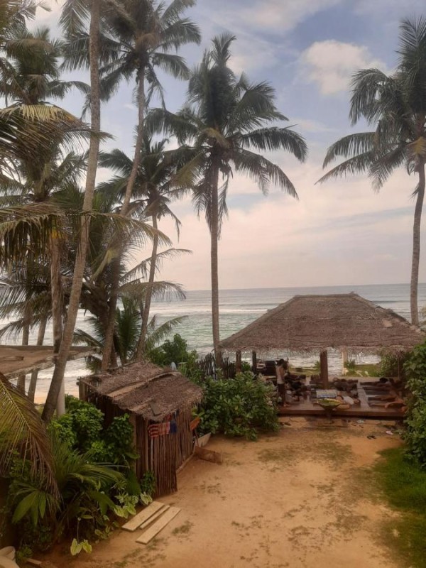 Image: Tahini and Friends Surf, Yoga & Wellness