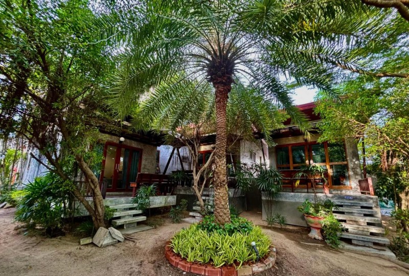 Image: Chook Dee Resort phangan palm beach