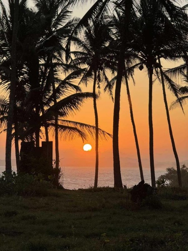Image: Coconut Tree hill Rekawa