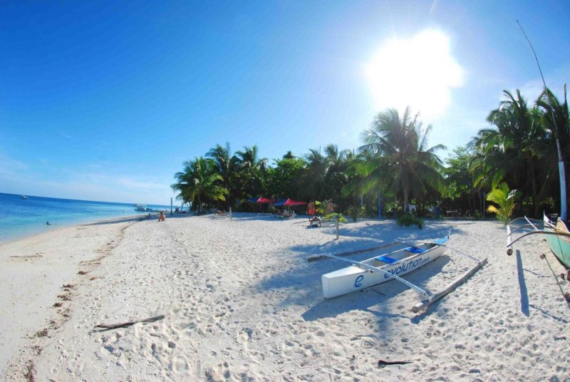 Image: Evolution Dive and Beach Resort