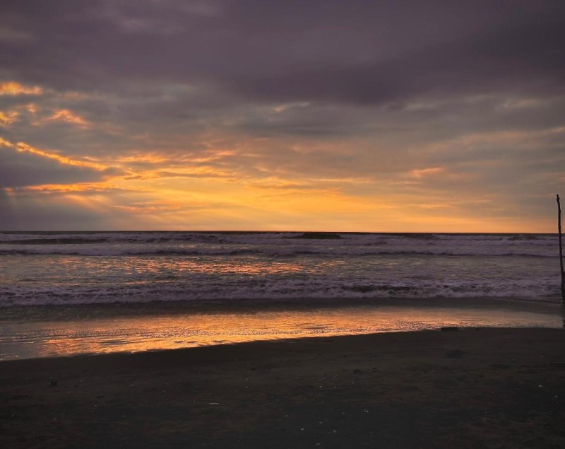 Image: Sirena's Beach & Surf Club