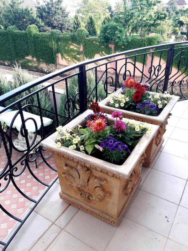 Image: Otel delfin