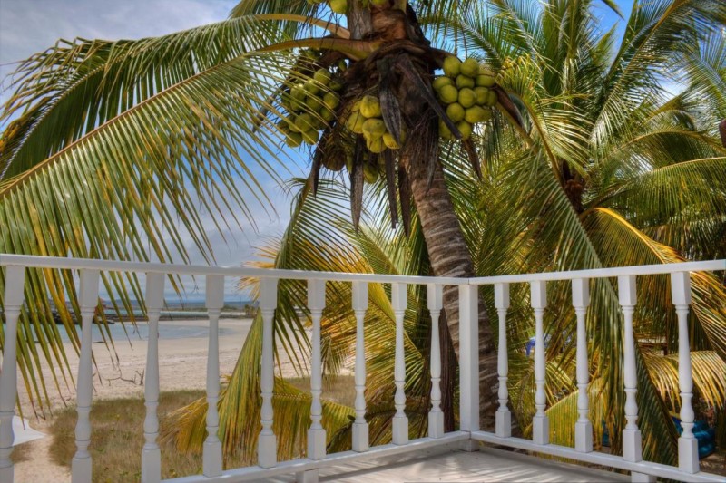 Image: The Isabela Beach House