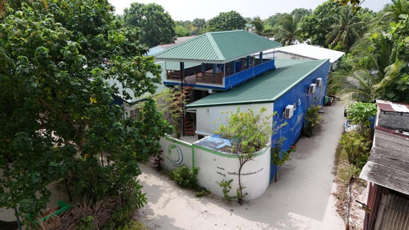 Image: Leaf fish guesthouse Maldives