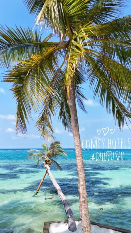 Image: Comfy Cool Breeze by eMzaz