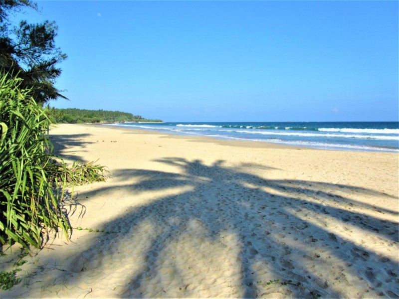 Image: Isana Beach House