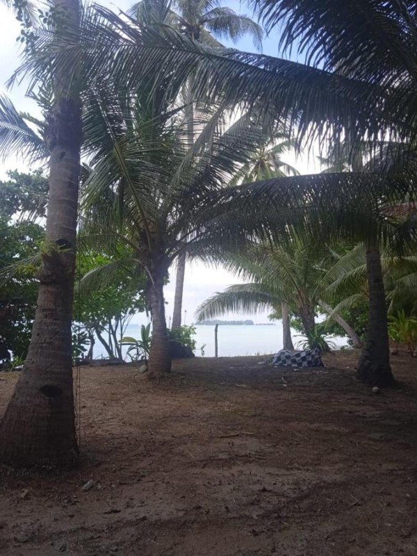 Image: batu putih cottage karimunjawa