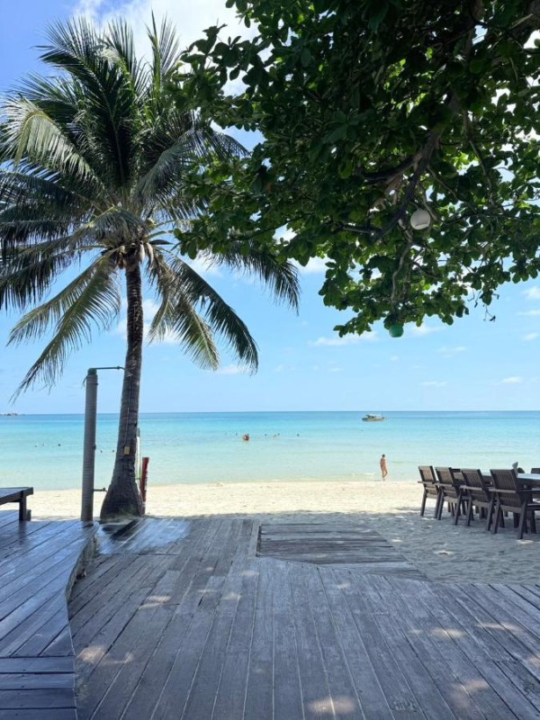 Image: Dreamland Resort
