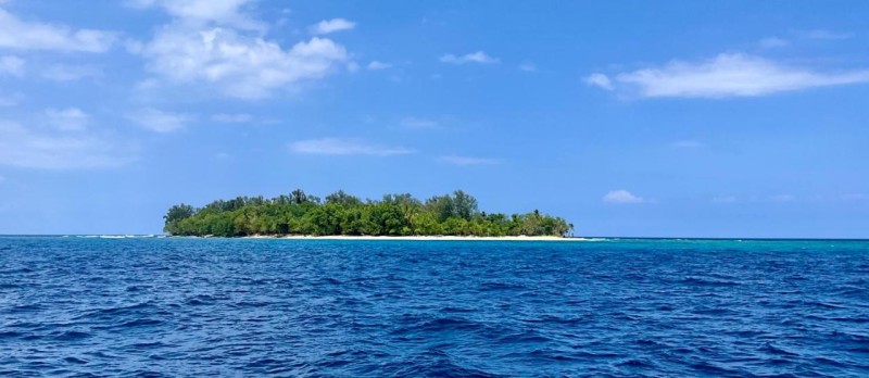 Image: Dany Island