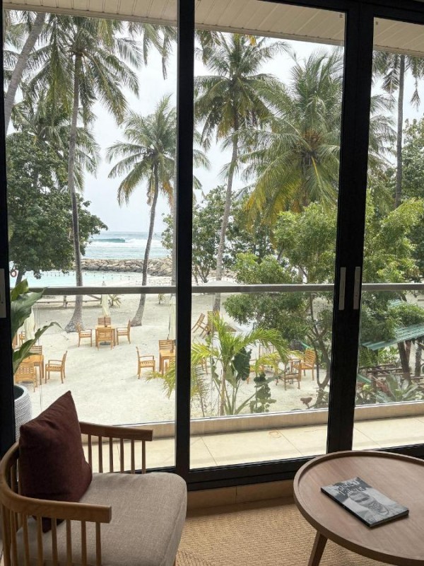 Image: TWIN PALMS 'Beach House' - New surf front location