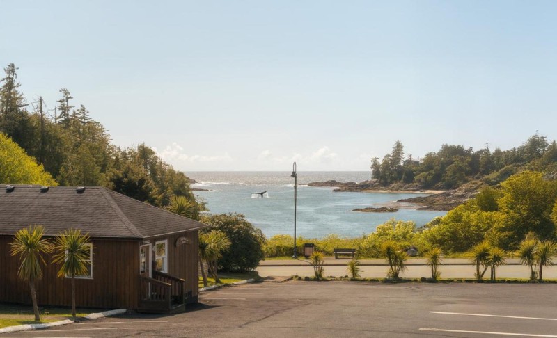Image: Little Beach Resort