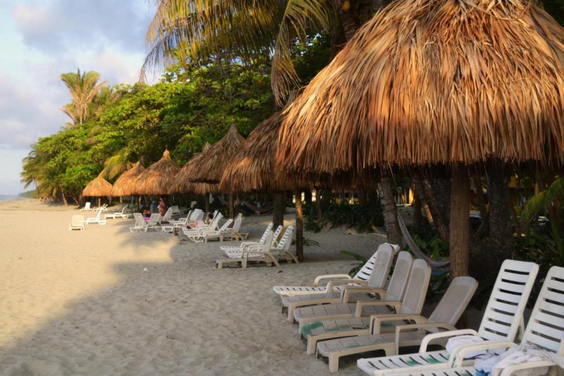 Image: Hotel Palma Real