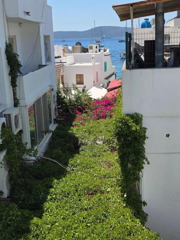 Image: The Cranberries Bodrum