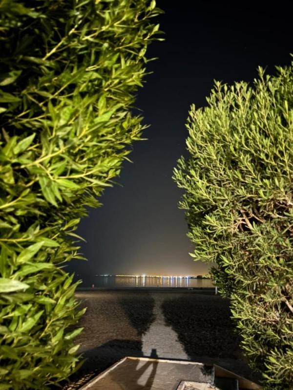 Image: dana beach resort
