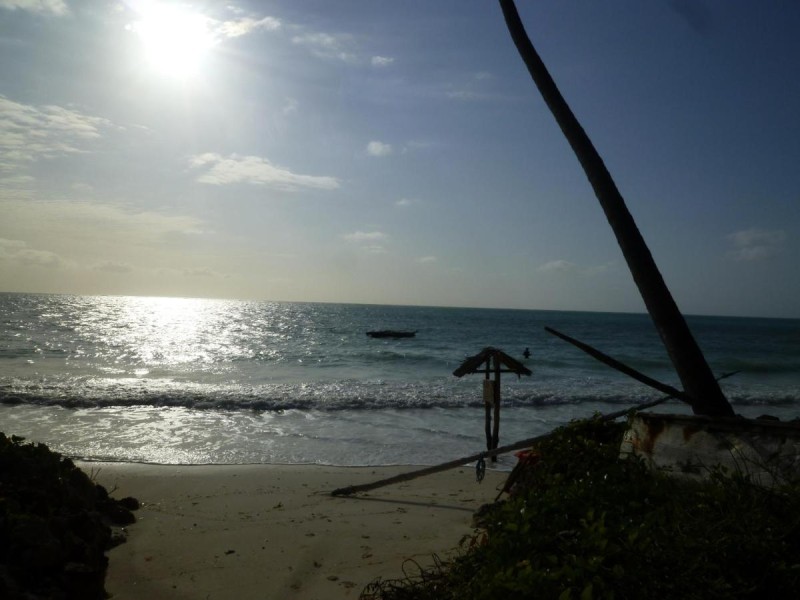 Image: Paradise Beach Bungalows