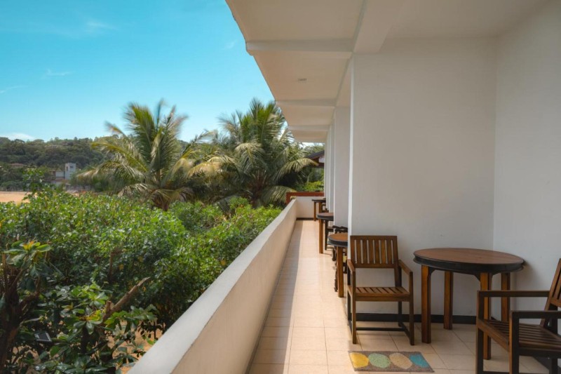 Image: New Summer Garden